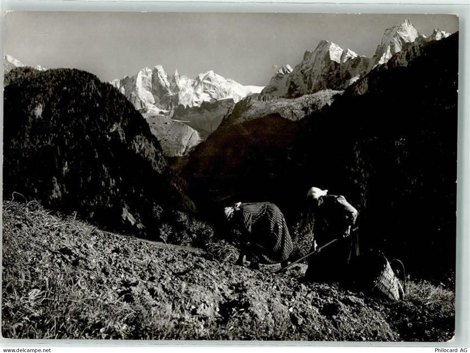 7610 Soglio - Kartoffelernte - 10593215