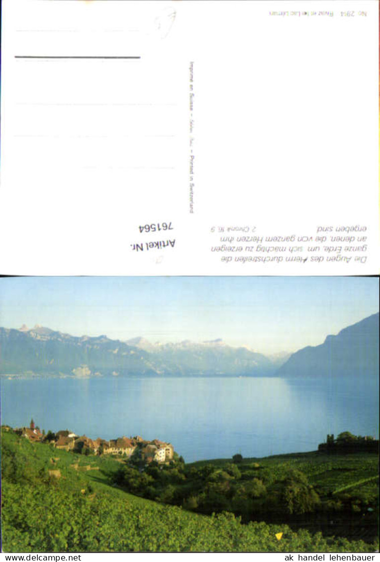 761564 Saint-Saphorin (Lavaux), Genfersee Waadt Switzerland