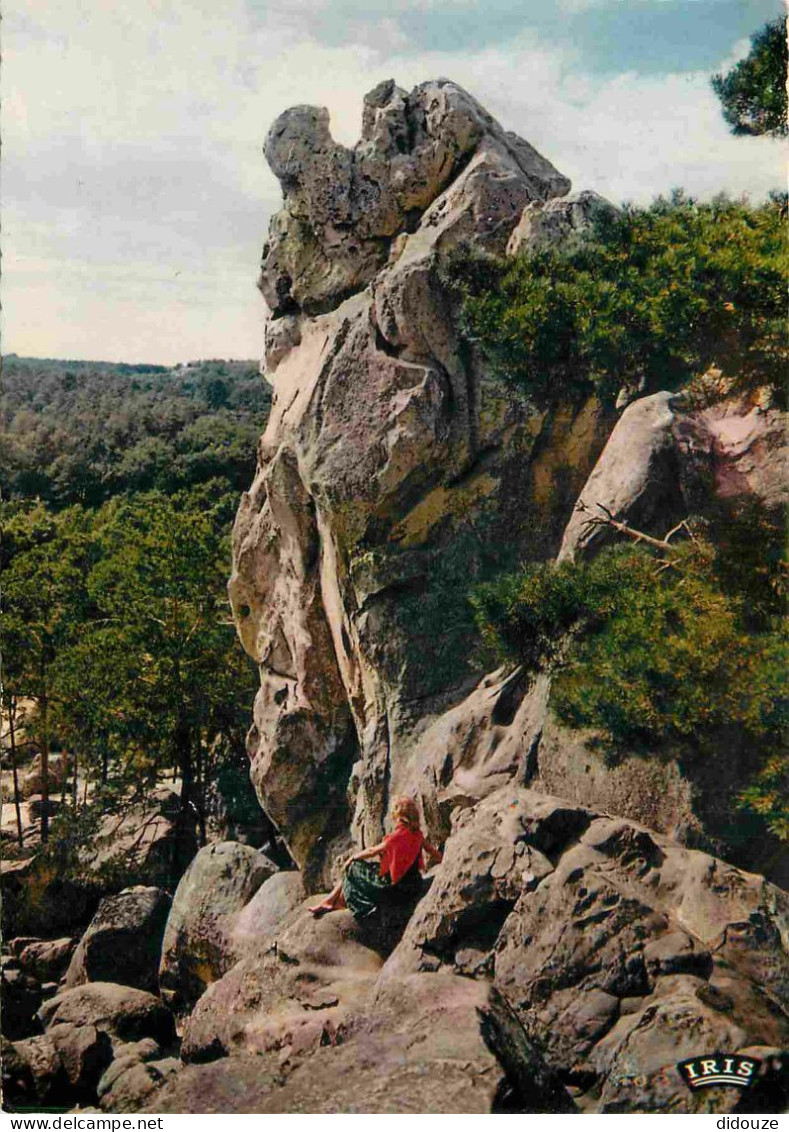 77 - Larchant - La Dame Jouanne - CPM - Voir Scans Recto-Verso