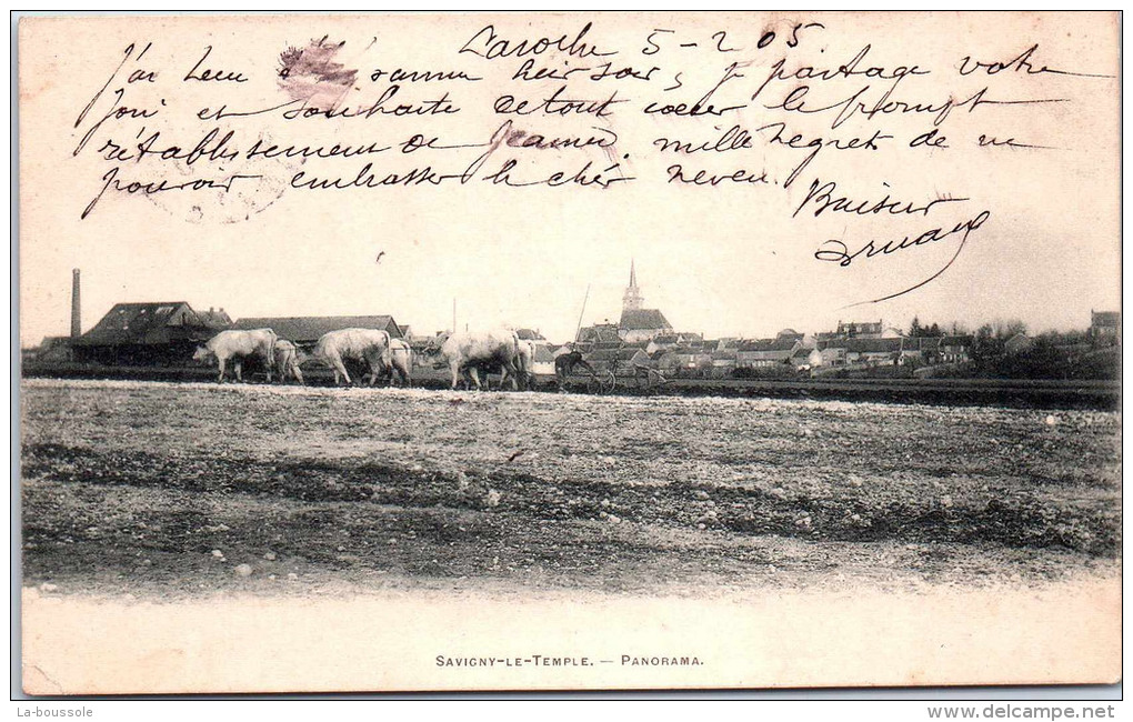 77 SAVIGNY LE TEMPLE - panorama