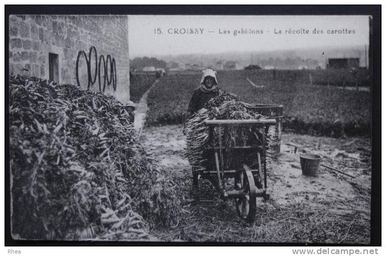 78 Croissy-sur-Seine 15. CROISSY Les gabillons - La récolte des carottes legume carott  D78D  K78146K  C78190C RH016035