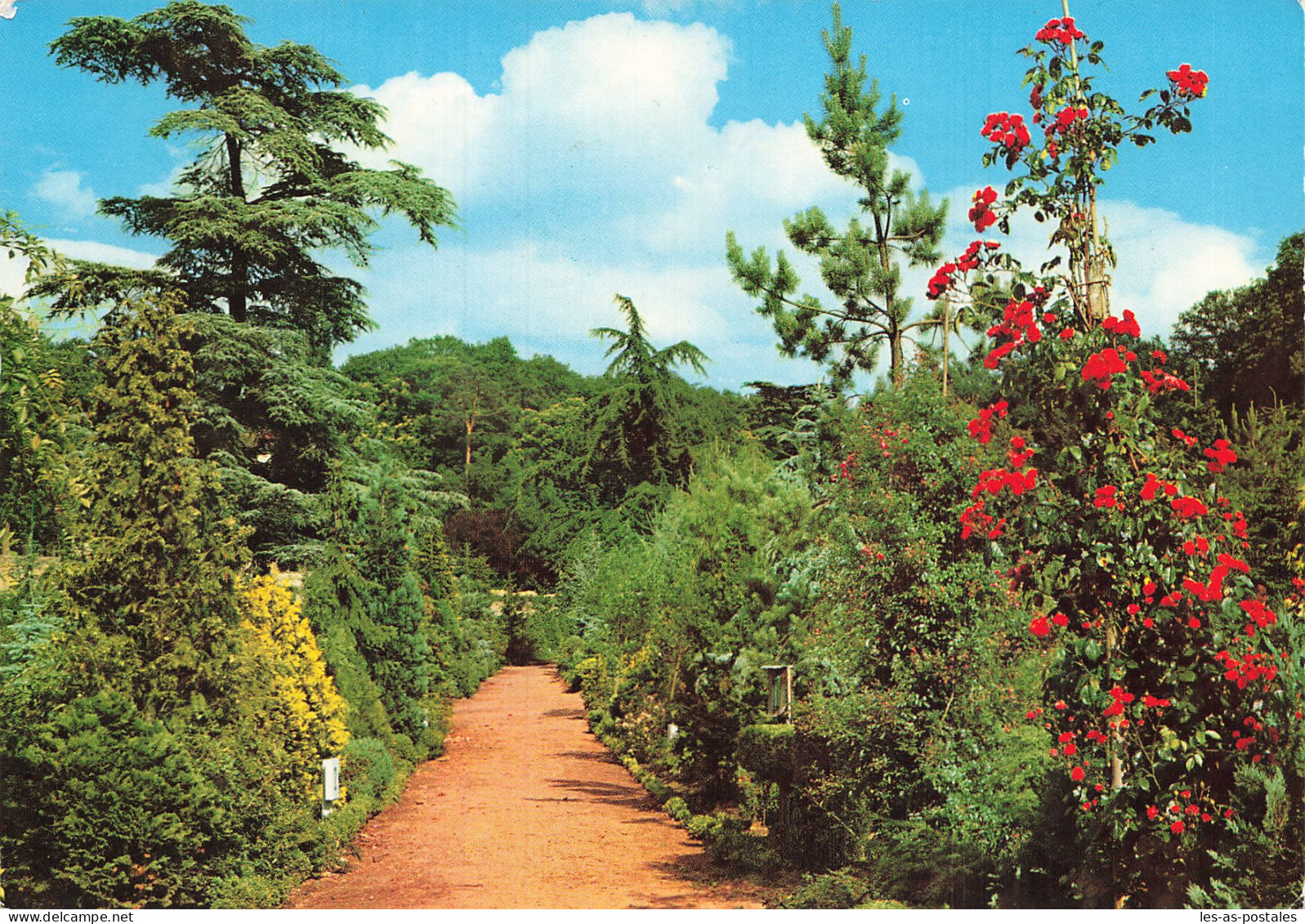 78 LA CELLE SAINT CLOUD