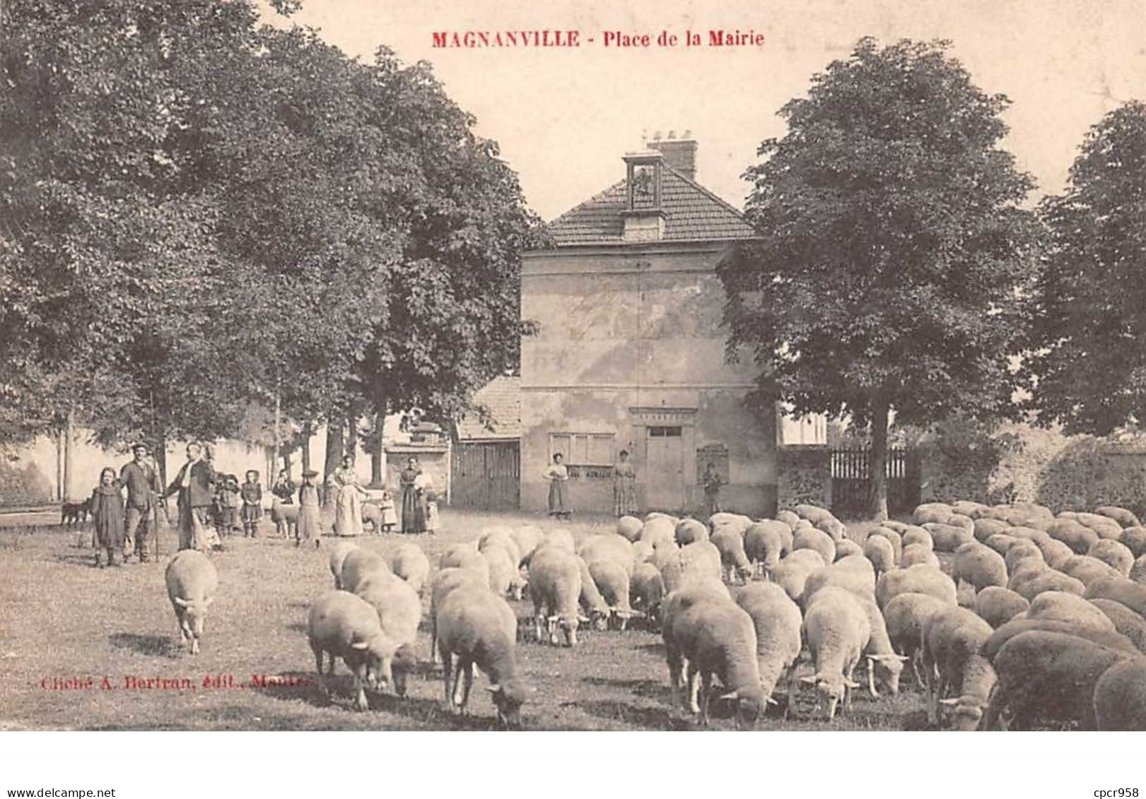 78 . n° 52373 . magnanville . place de la mairie.moutons