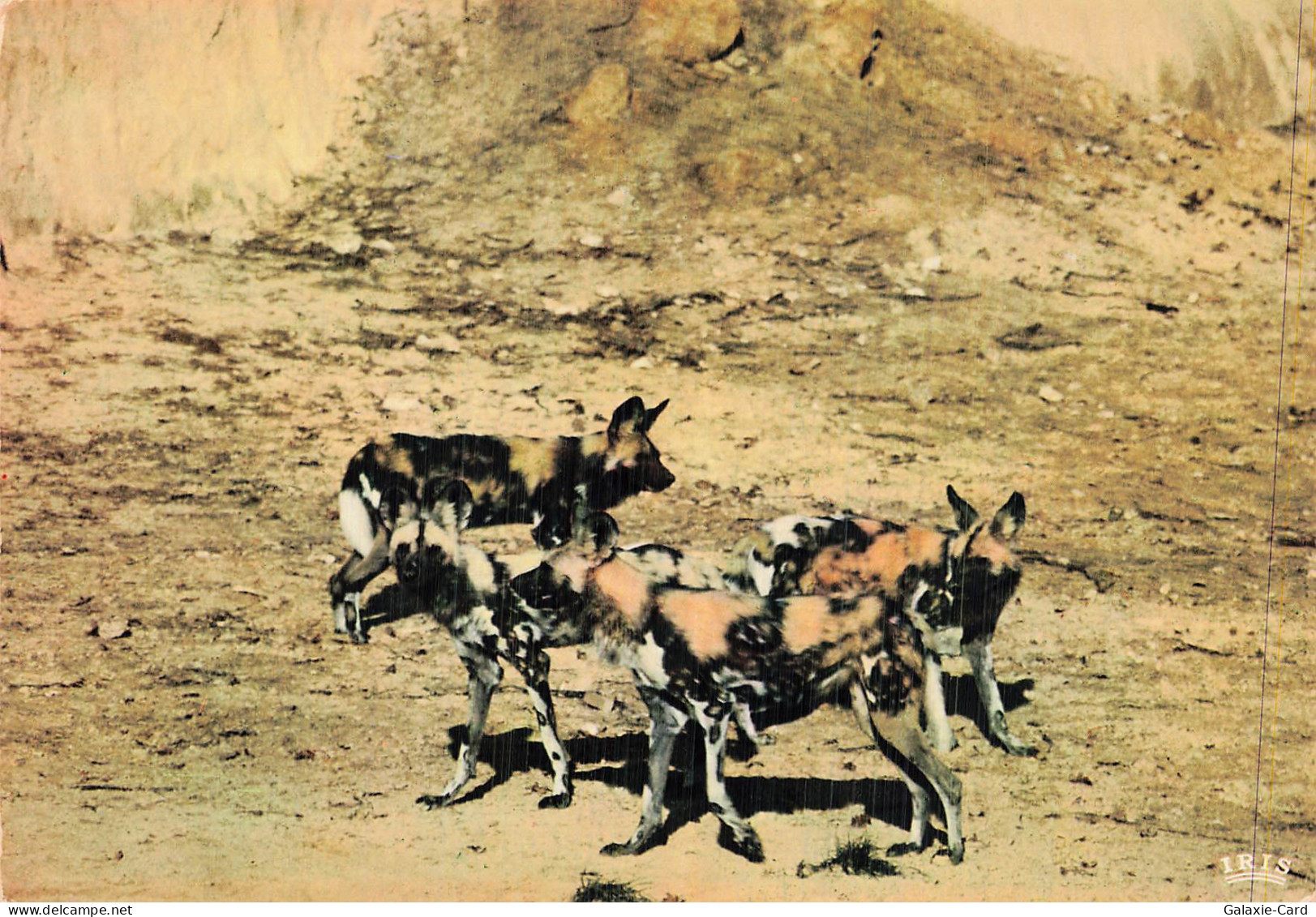 78 THOIRY CHATEAU DE THOIRY