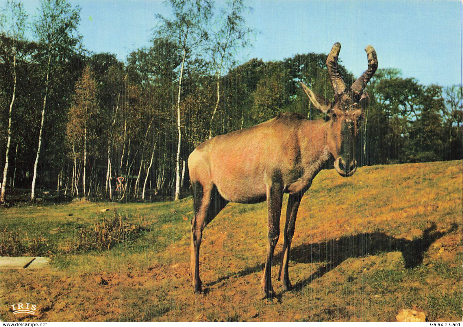 78 THOIRY CHATEAU DE THOIRY