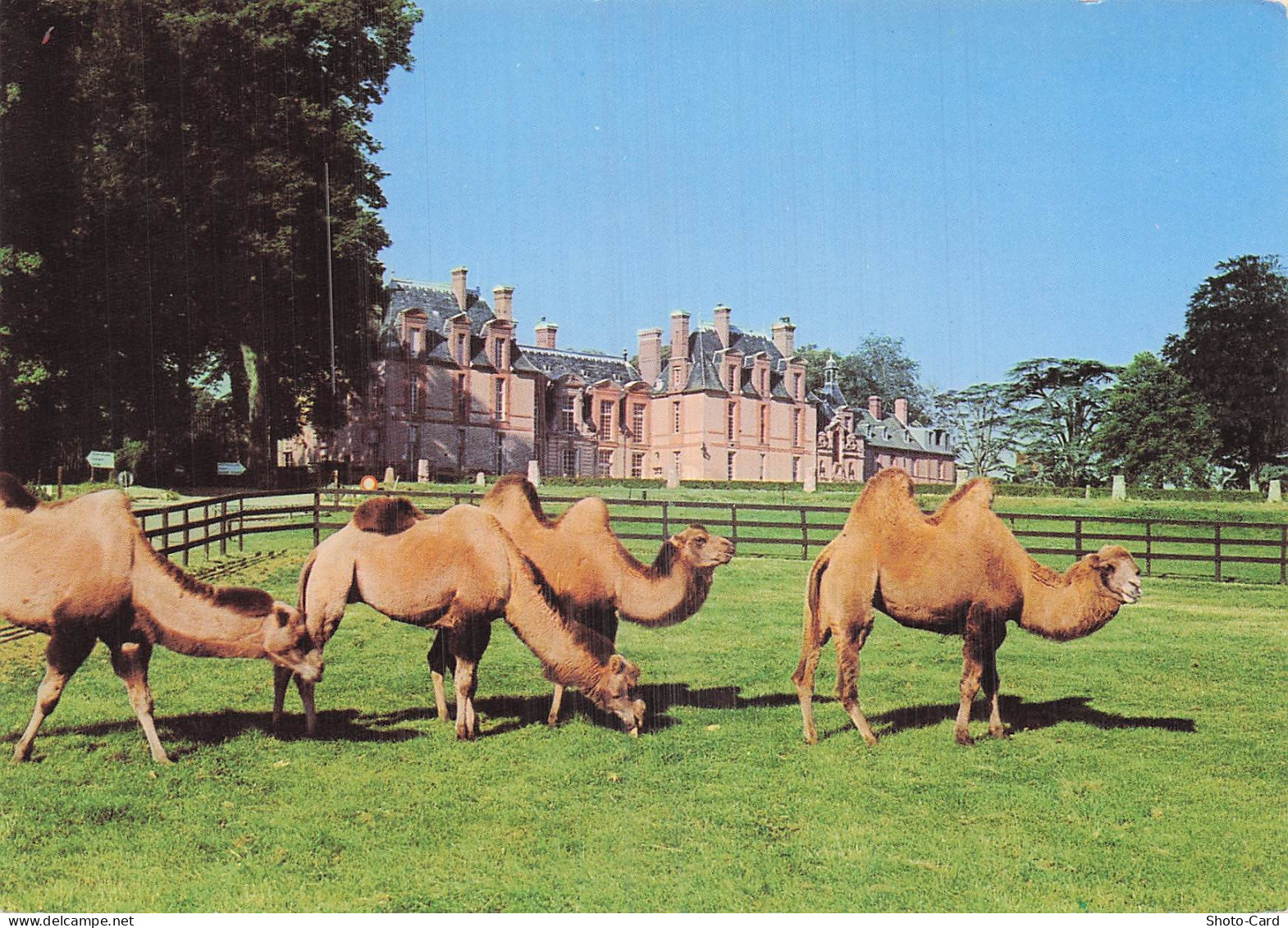 78 THOIRY CHATEAU DE THOIRY