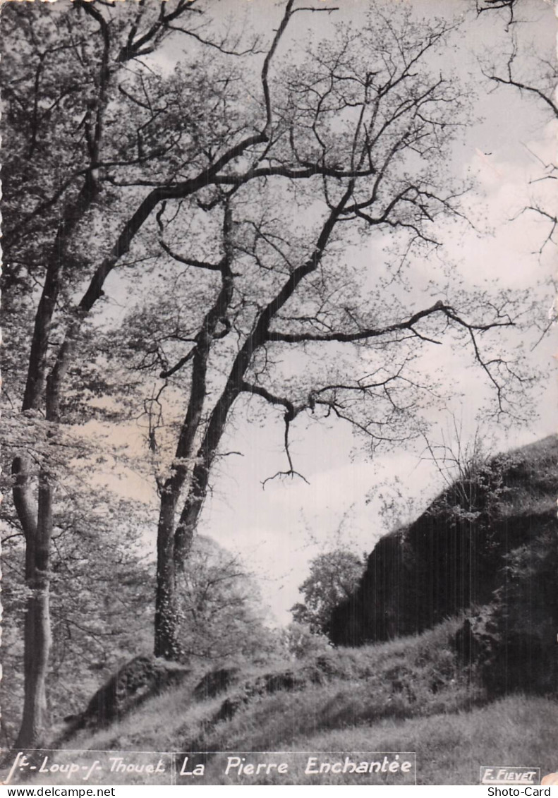 79 SAINT LOUP LAMAIRE LA PIERRE ENCHANTEE