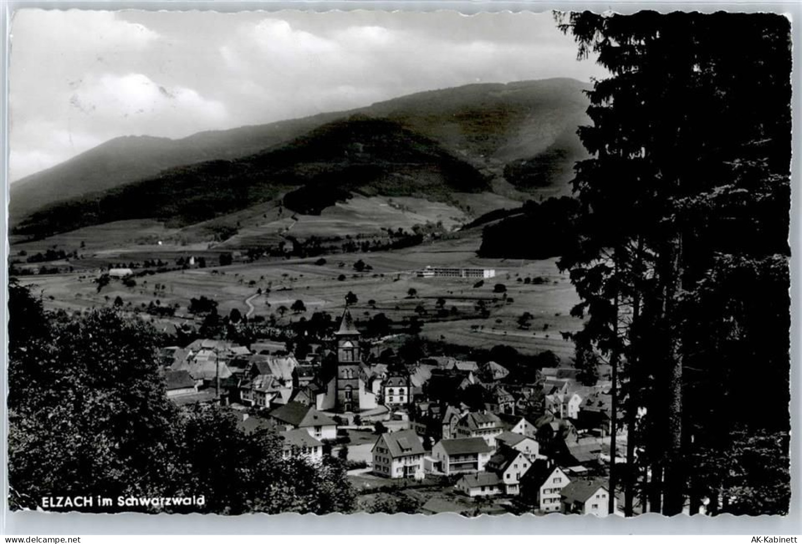 79215 W7807 Elzach - 50976293