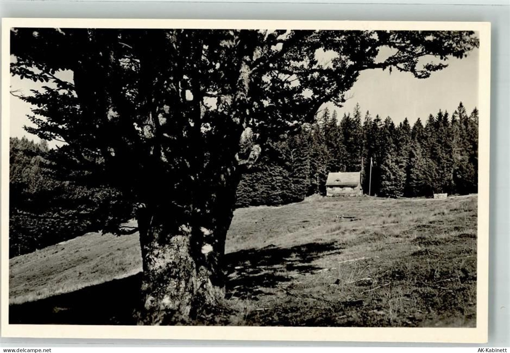 79244 W7816 Münstertal , Schwarzwald - Hütte Hubertus - 39667578