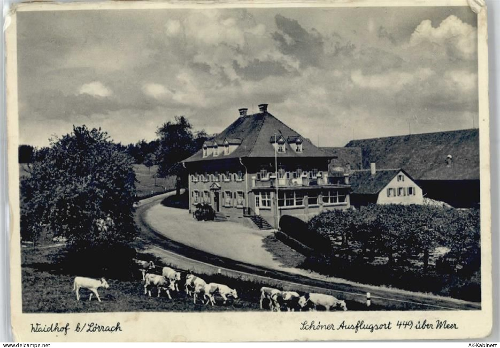 79539 W7850 Lörrach - Gasthaus, Waidhof - 51099589