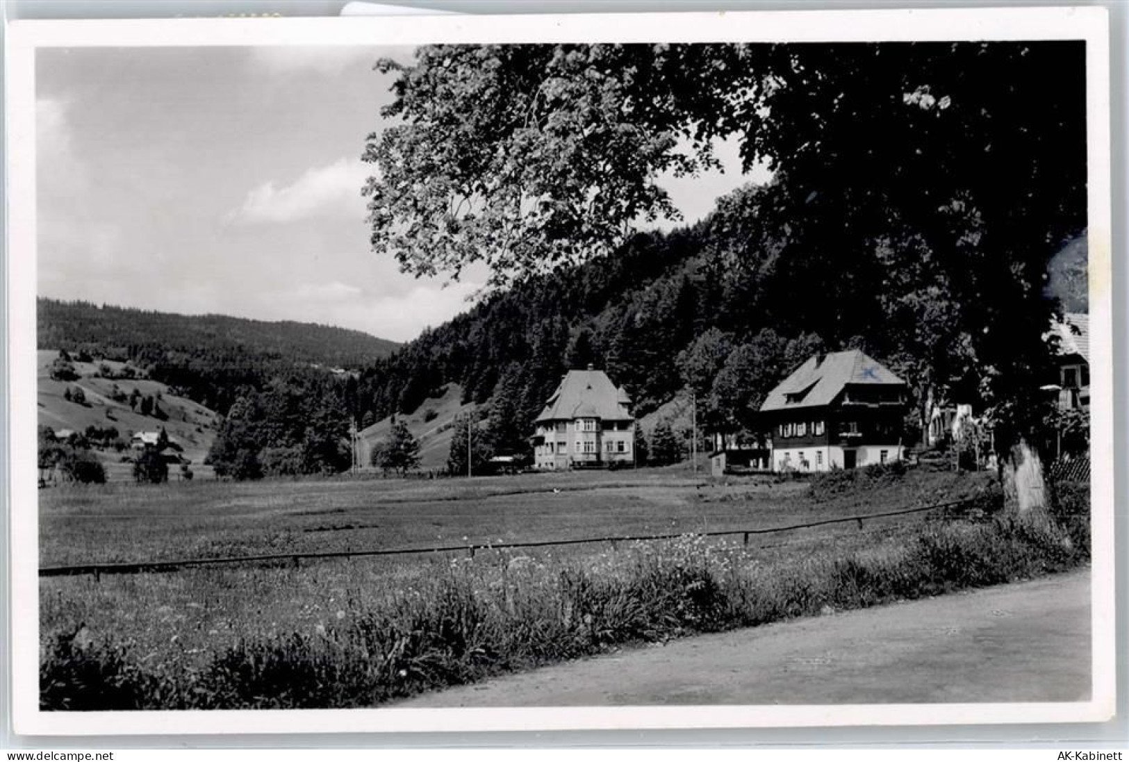 79682 W7865 Todtmoos - Hinter-Todtmoos - 51047630