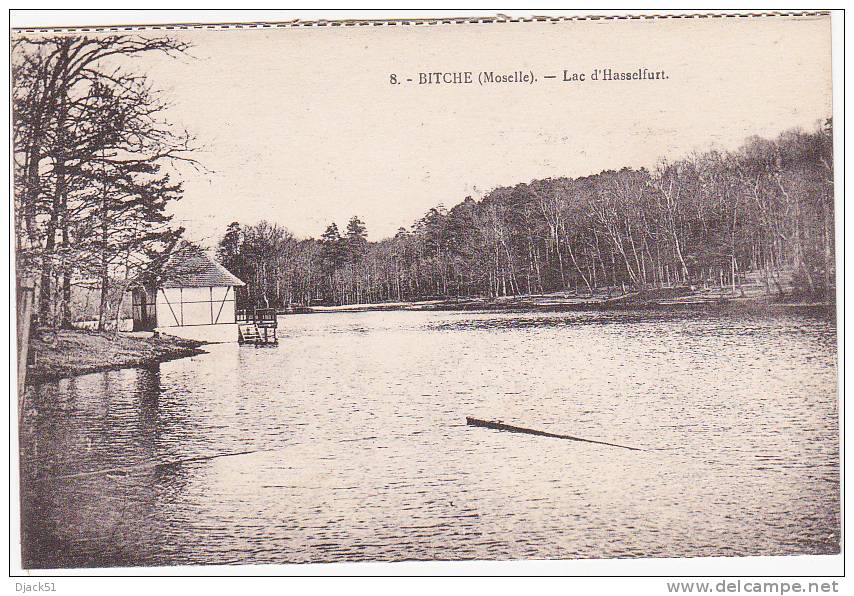 8. BITCHE (Moselle) - Lac d'Hasselfurt