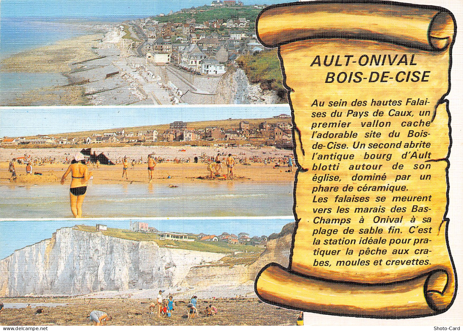 80 BOIS DE CISE LE BOIS DE CISE