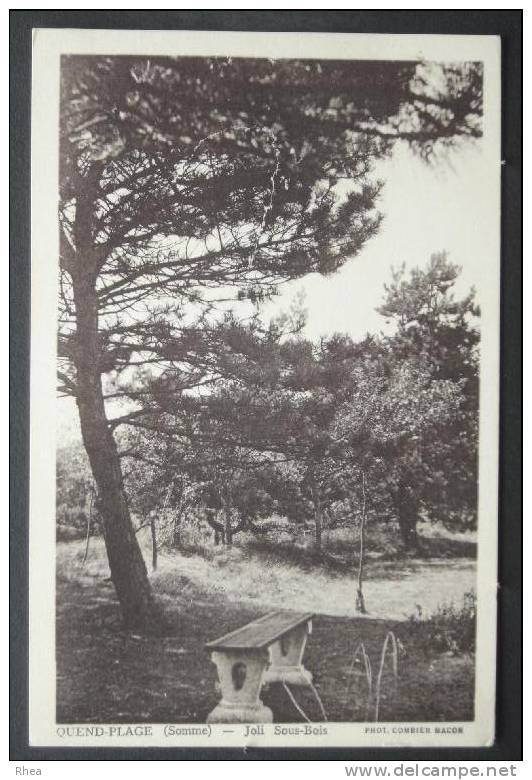 80 Quend bois sépia D80D K80688K C80649C RH048613