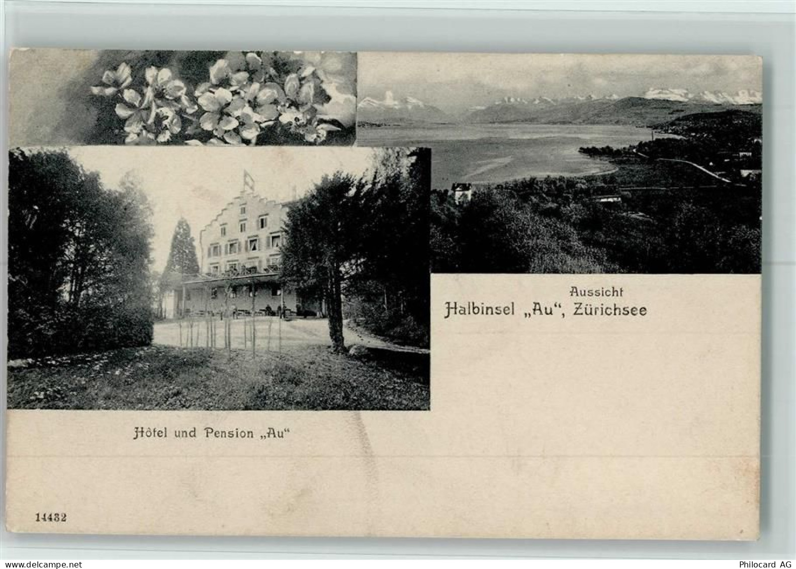 8000 Zürich - Ausicht Halbinsel Au Zürichsee Hotel Pension Au - 13109579