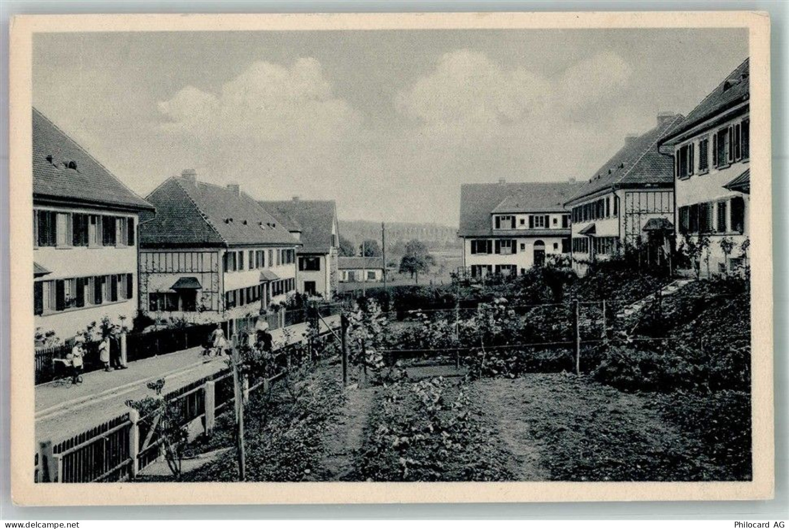8000 Zürich Foto AK Kolonie Wollishofen Balberstrasse Allg.Baugenossensc... - 13598000