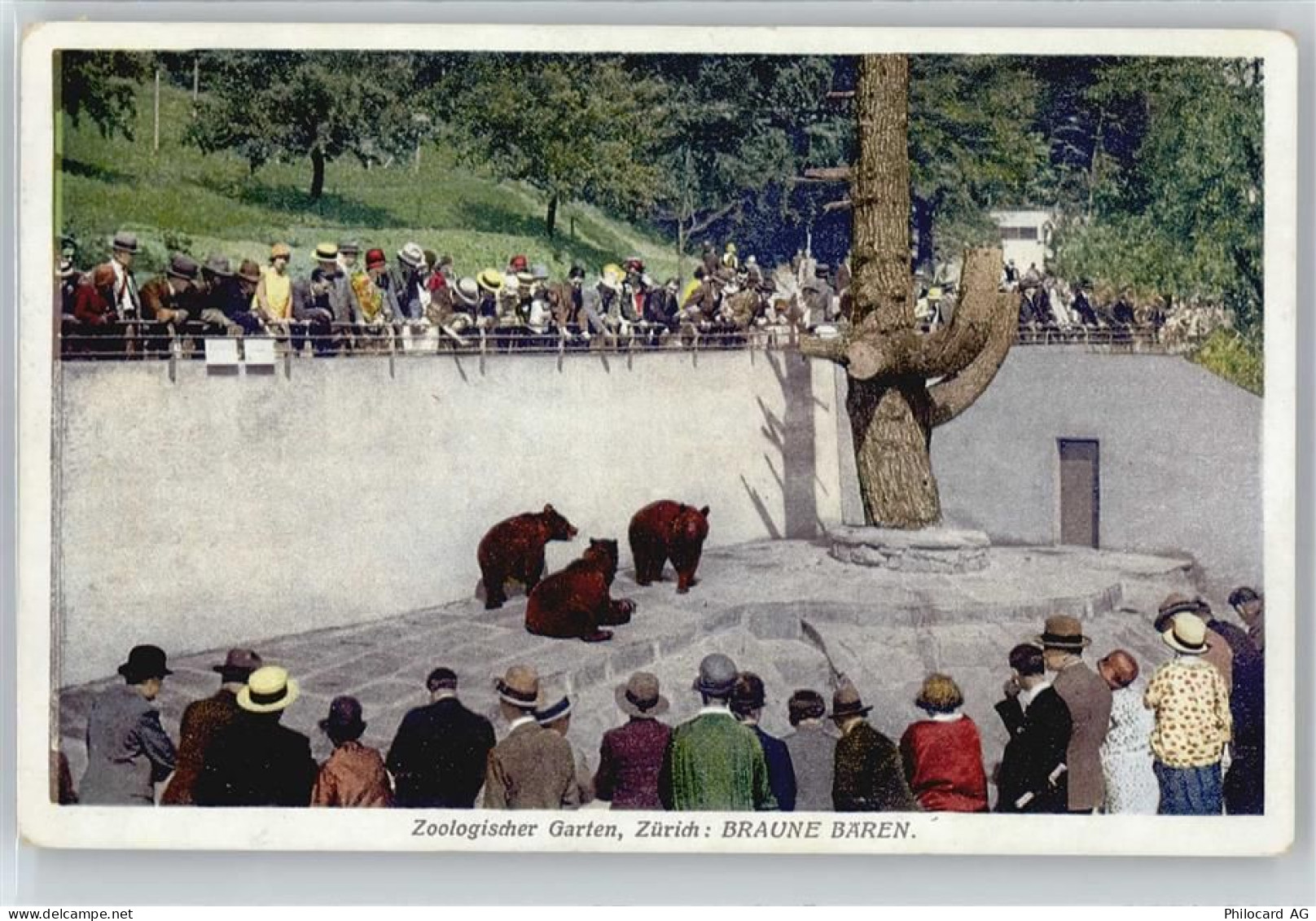 8000 Zürich - Zoo , Bären , Marke entfernt - 50811279