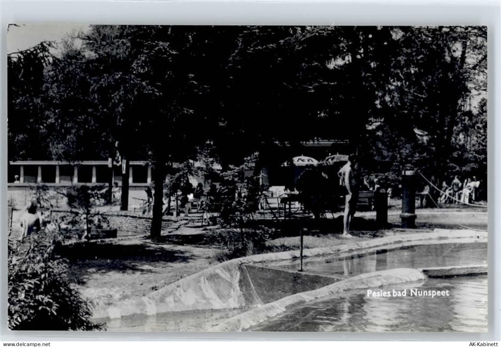 8071 Nunspeet - Pesies Bad - 51097430