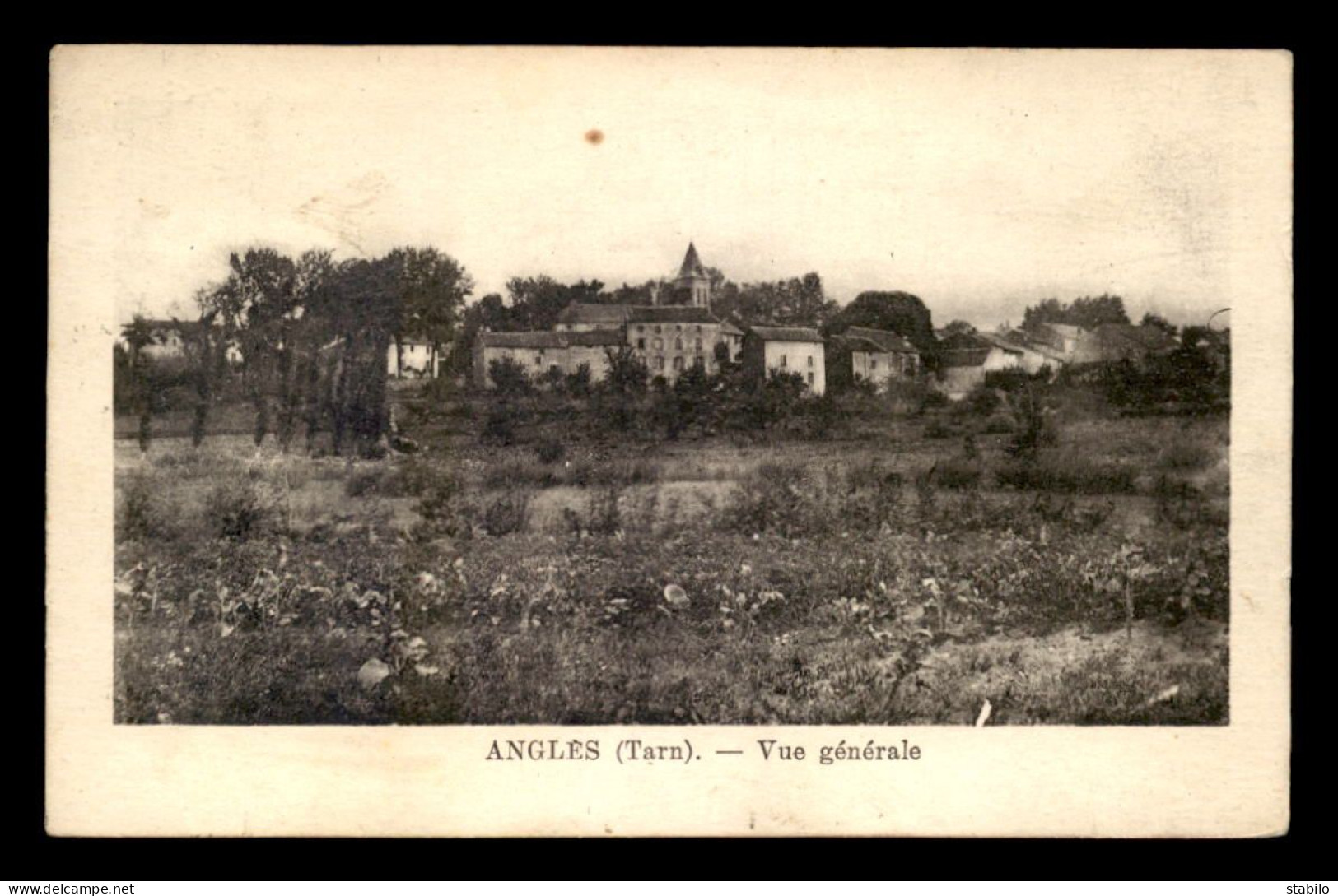 81 - ANGLES - VUE GENERALE