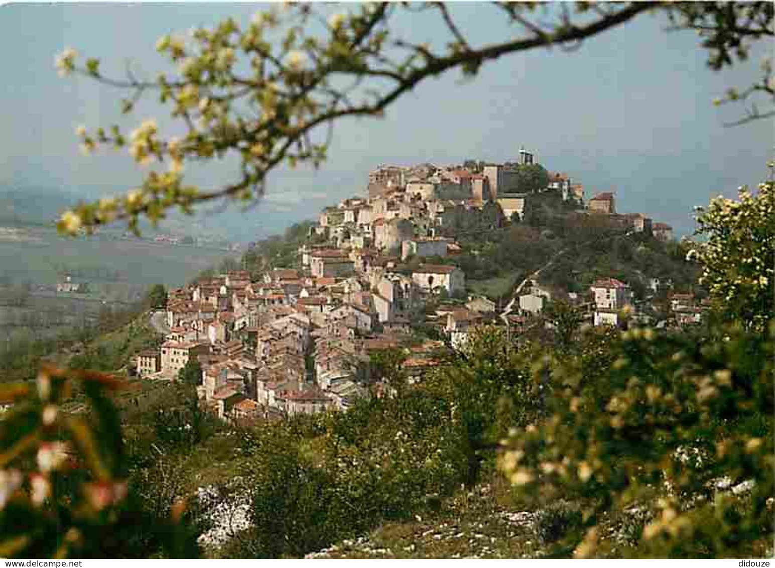 81 - Cordes - Vue Générale - CPM - Voir Scans Recto-Verso