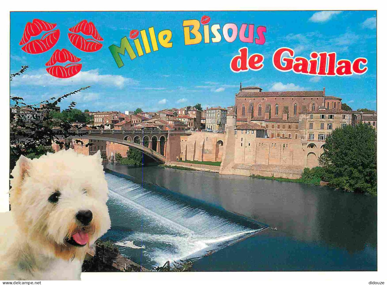 81 - Gaillac - Chiens - CPM - Voir Scans Recto-Verso