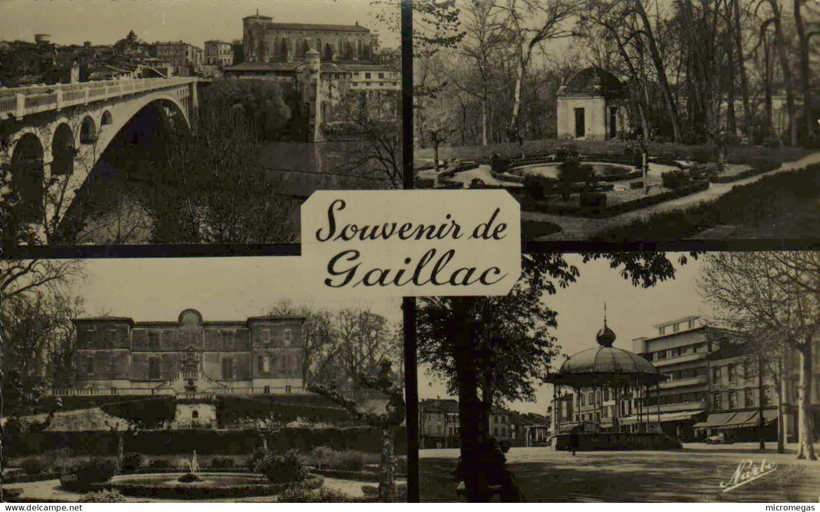81 - GAILLAC - Souvenir de Gaillac