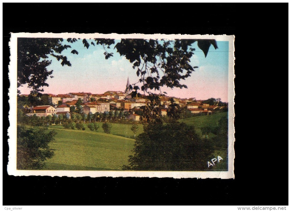 81 PUYLAURENS Vue Générale, colorisée, ed APA 1, 194?