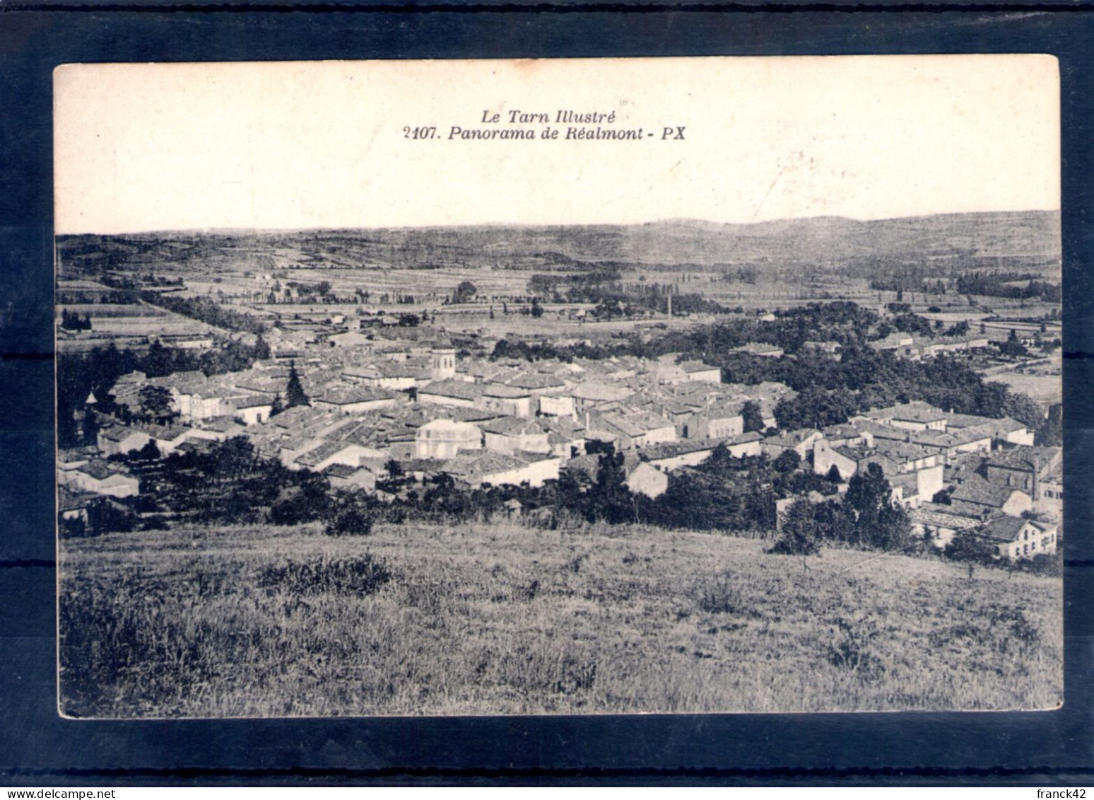 81. réalmont. panorama