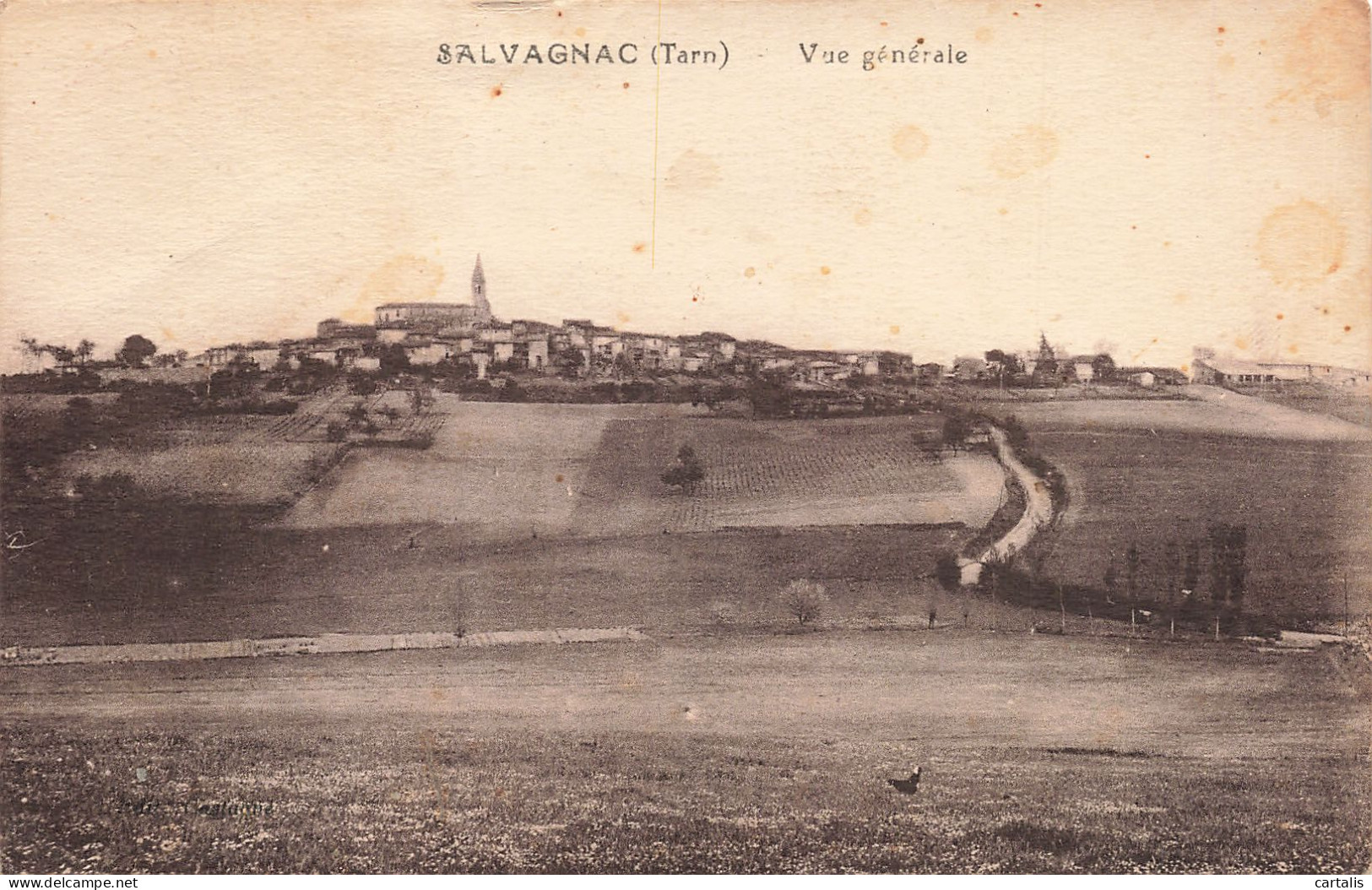 81-SALVAGNAC-N°T5305-E/0365