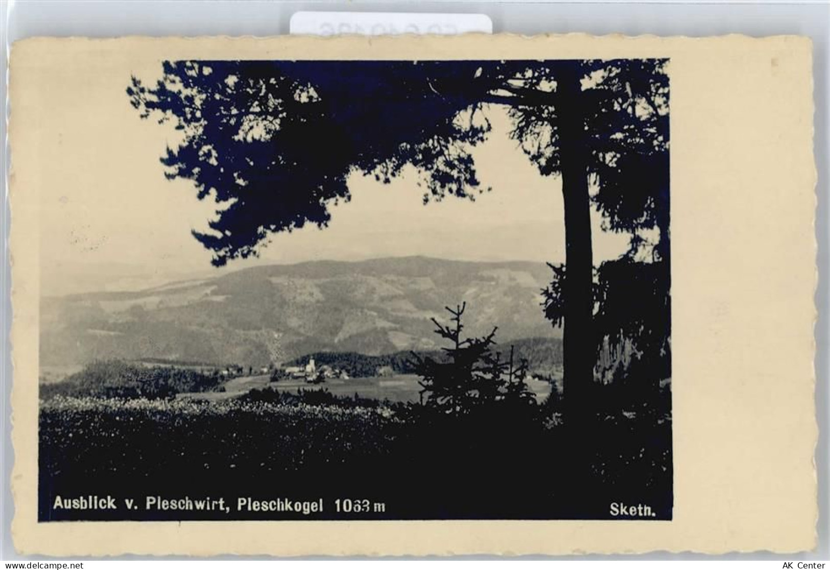 8103 Rein - Pleschkogel - 50640136