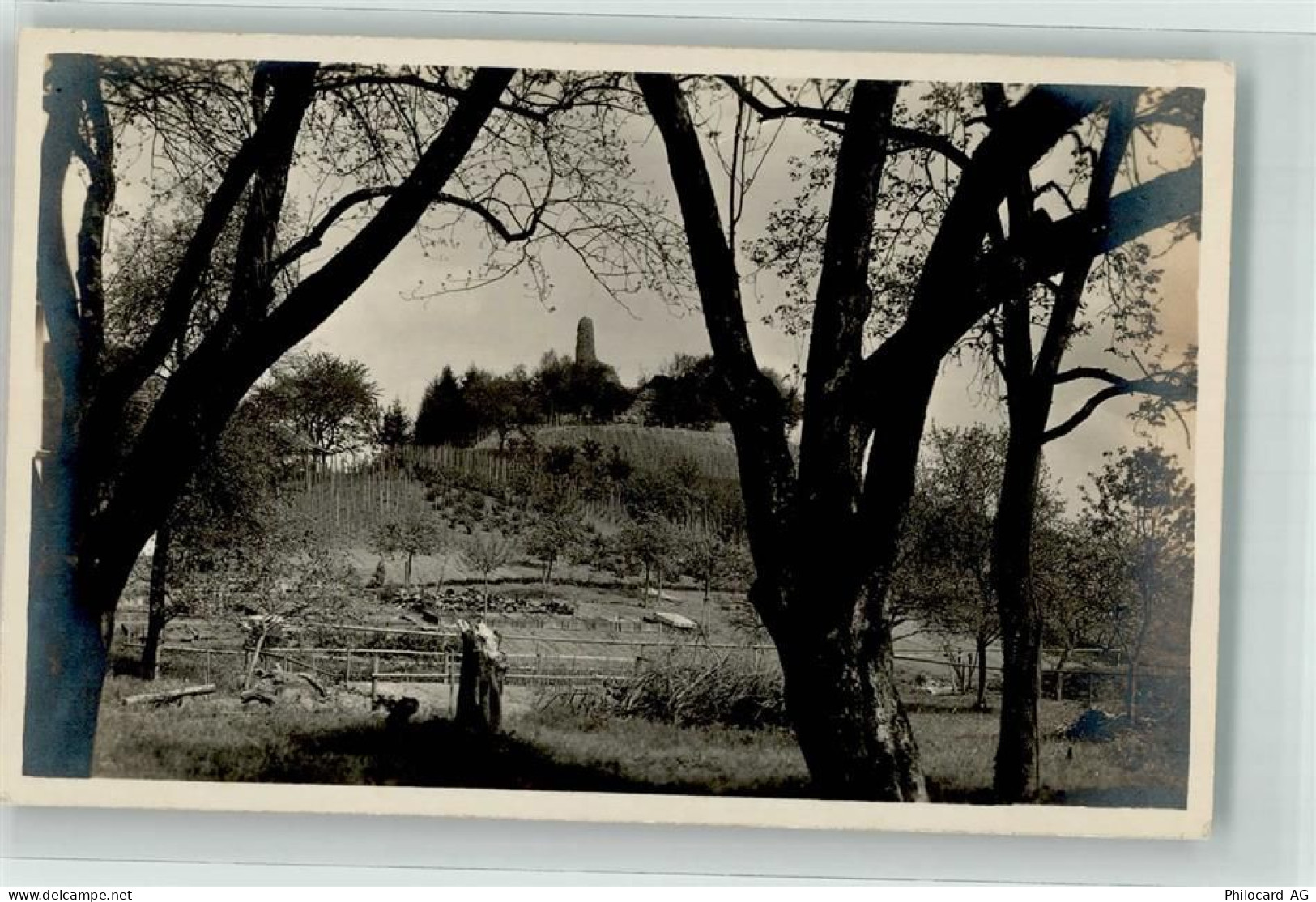 8105 Regensdorf Foto AK Ruine Altenburg Foto Gaberell - 39704215