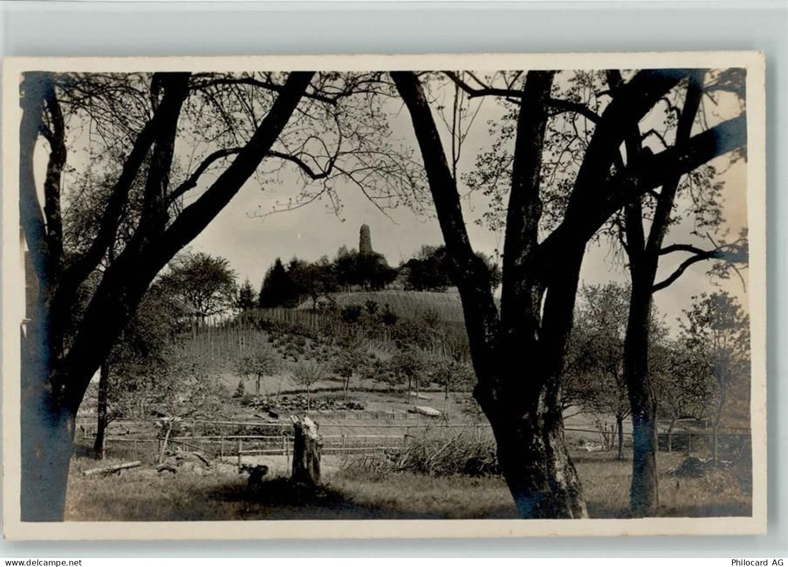 8105 Regensdorf - Ruine Altenburg - 13113017