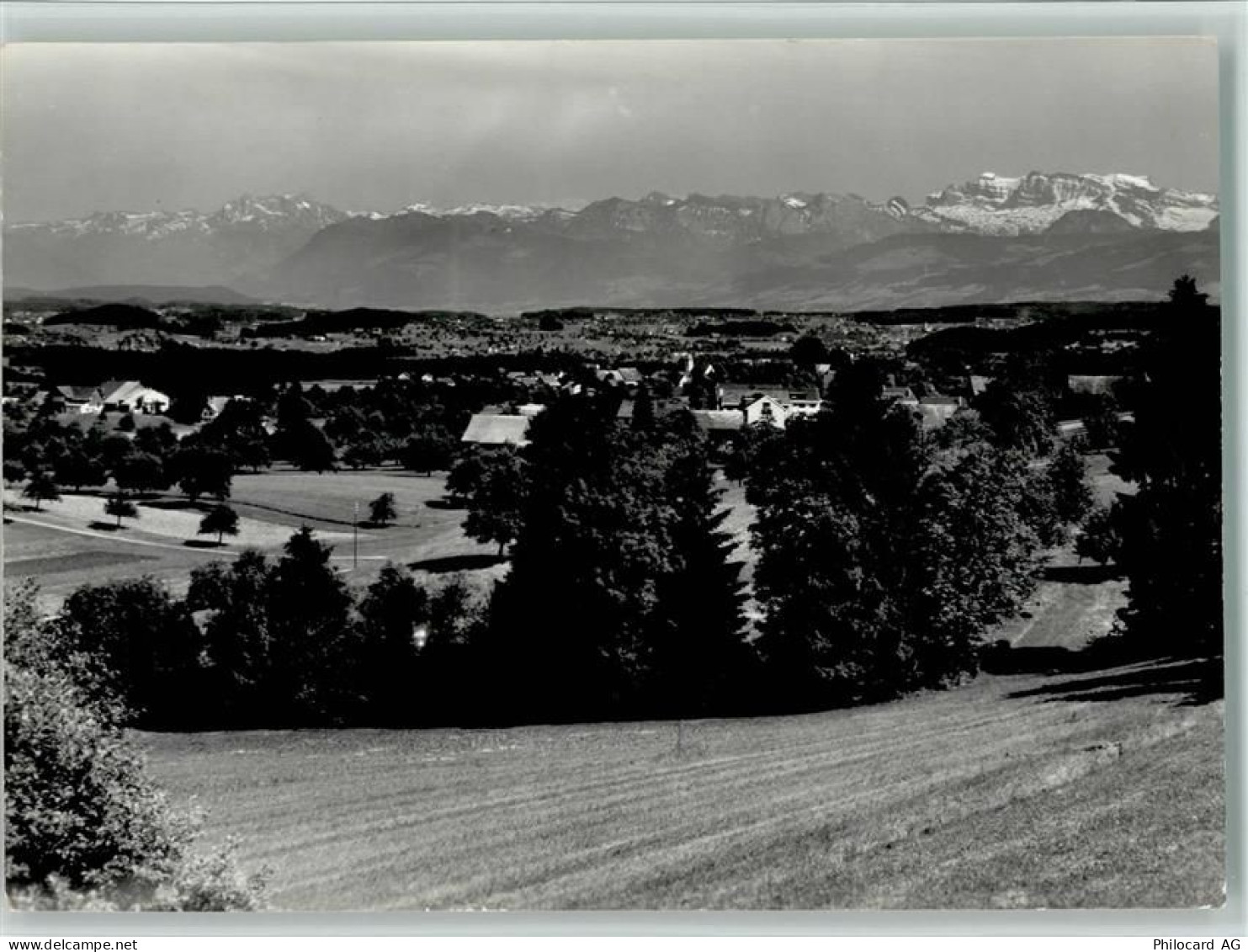 8132 Egg bei Zürich - mit den Alpen - 11088230