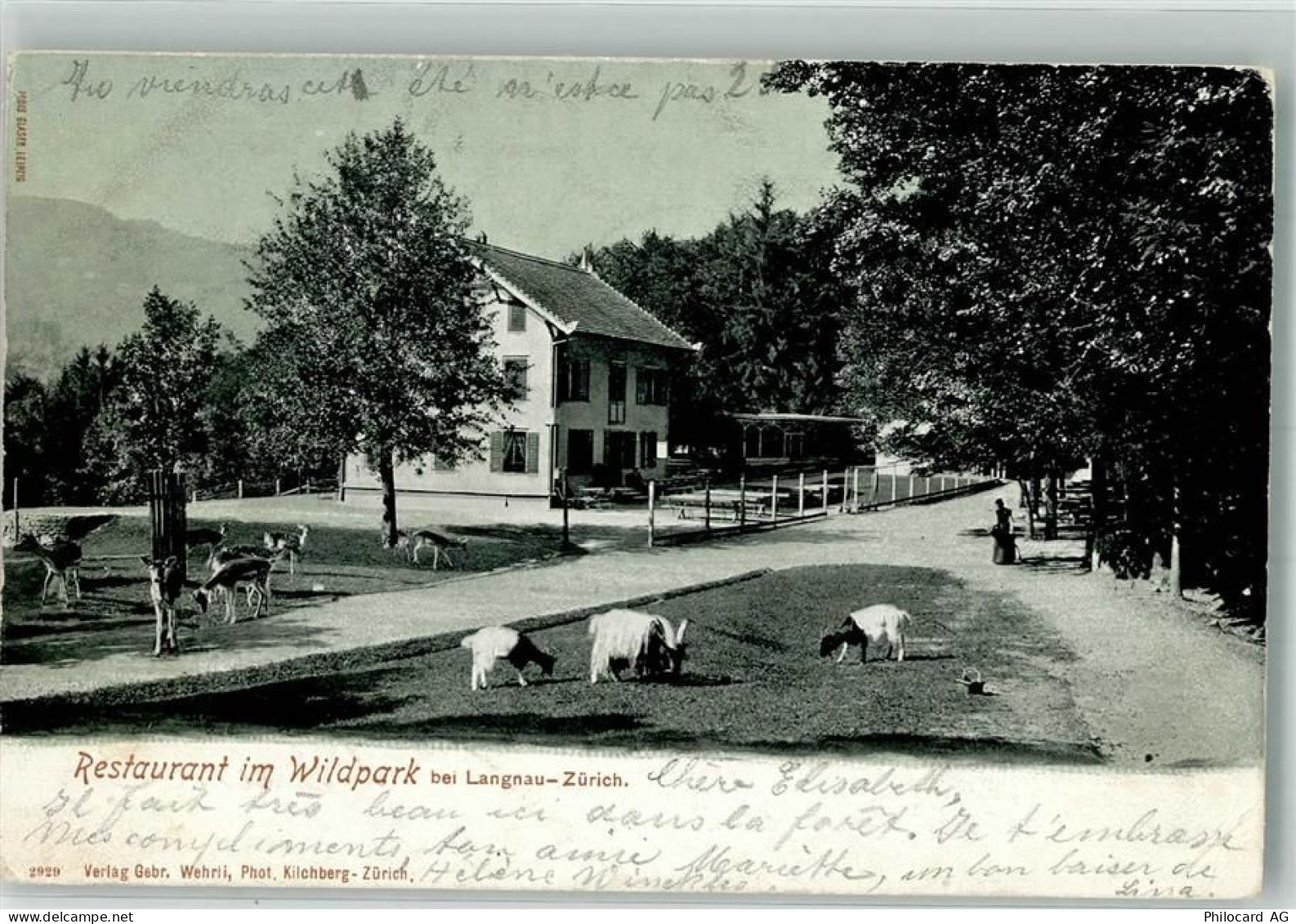 8135 Langnau am Albis 1903 Gebrauchsspuren Ziege Gasthaus im Wildpark - 38072010