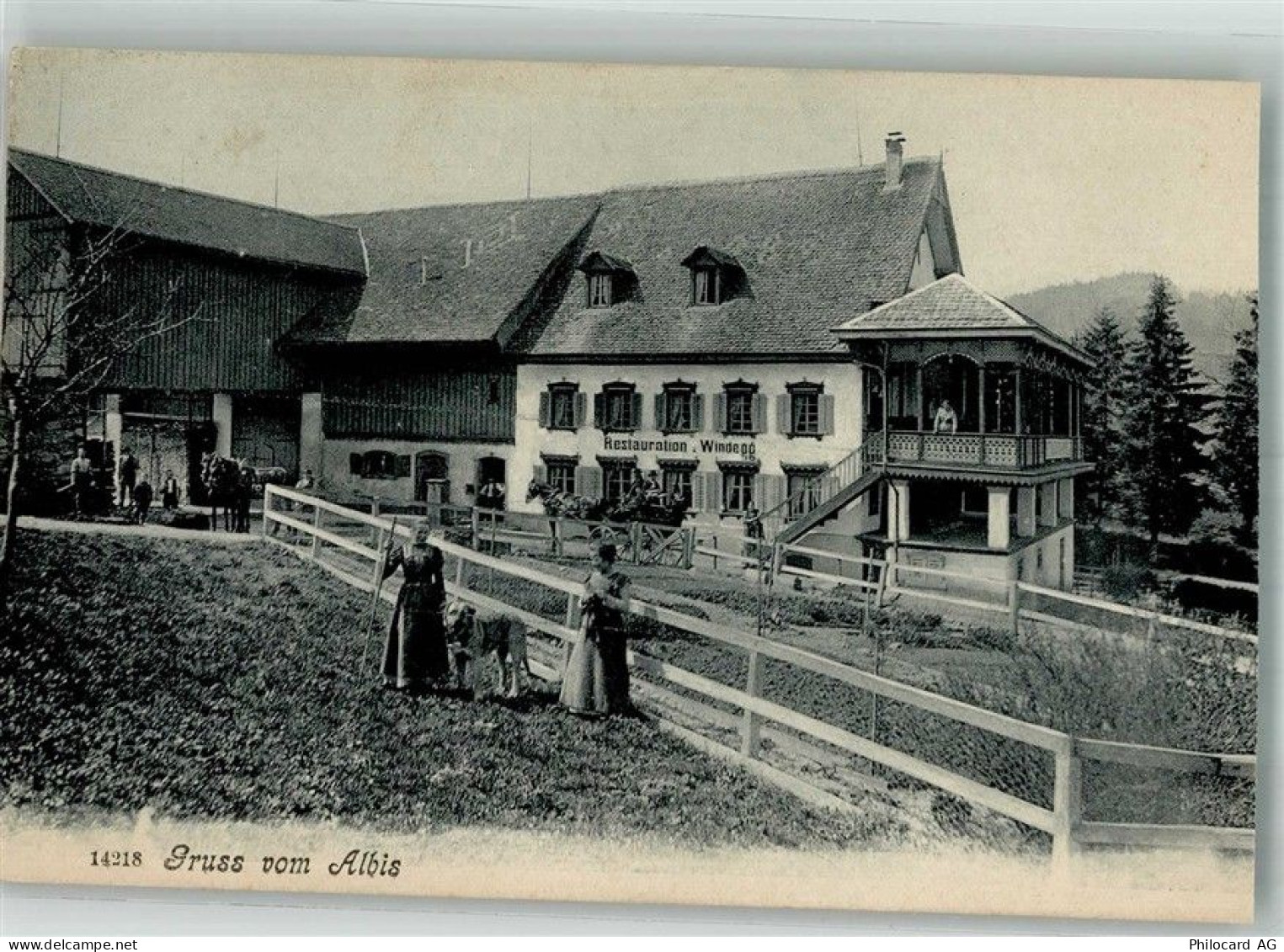 8135 Langnau am Albis 1906 Foto AK Gasthaus Windegg - 13585975