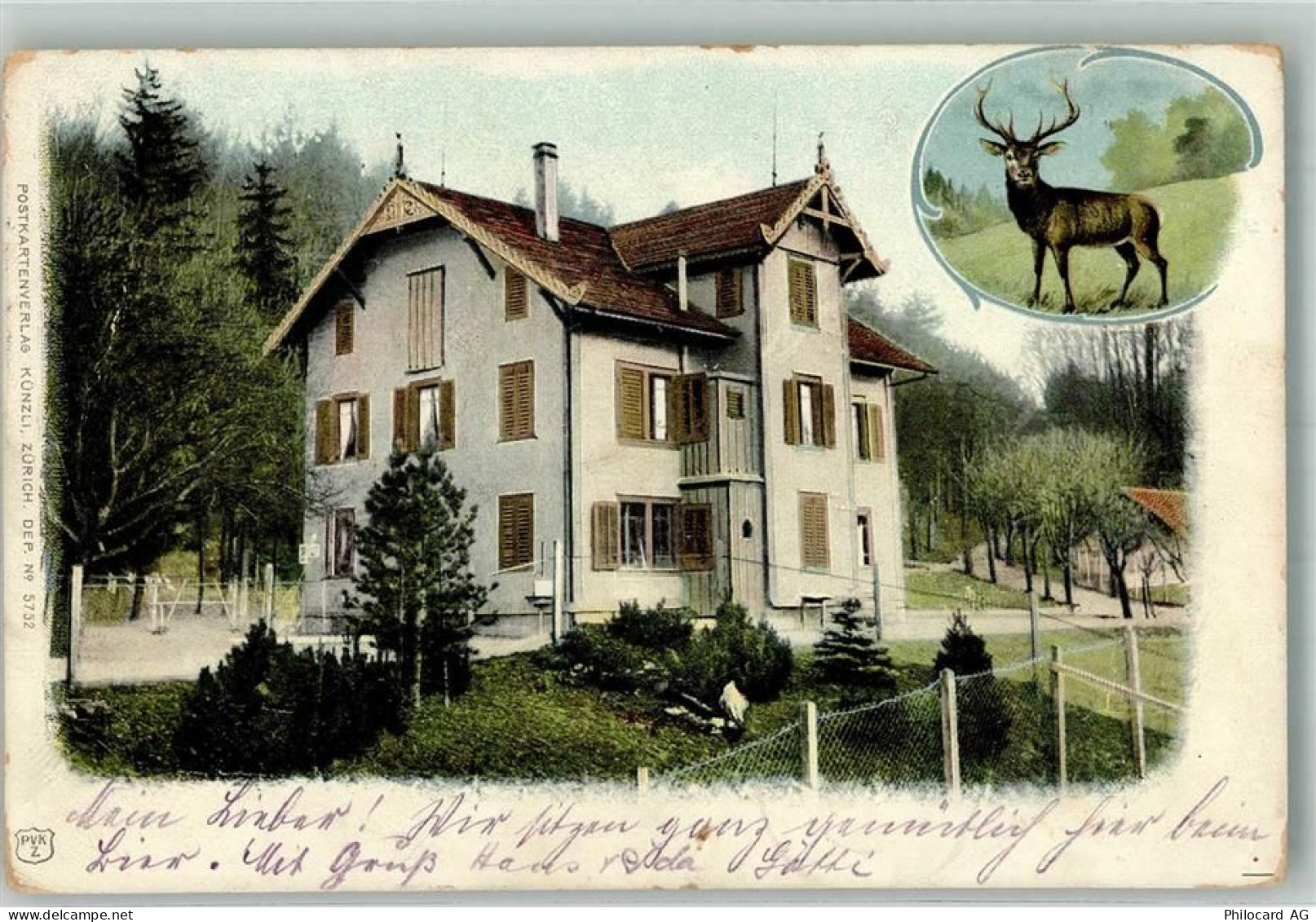 8135 Langnau am Albis Foto AK Hirsch Ort lt. Stempel - 10748660