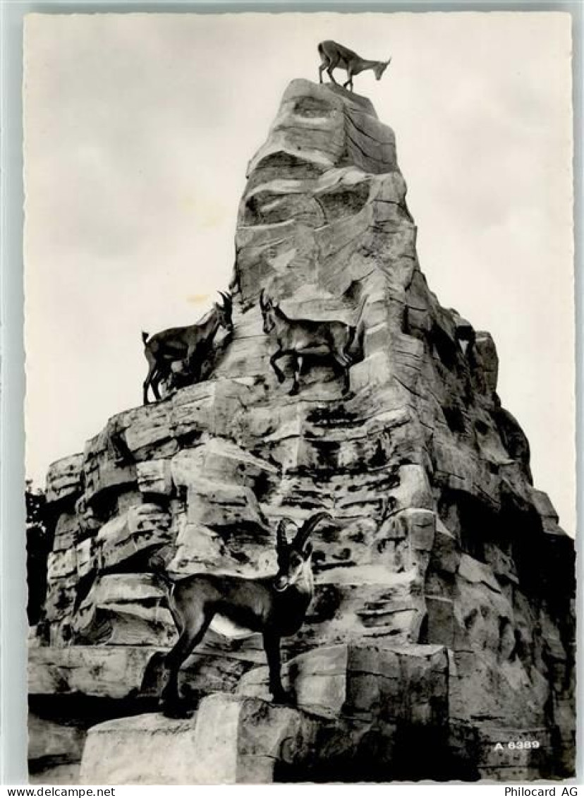 8135 Langnau am Albis - Wildpark Langenberg Steinbock Gämsen - 39490705