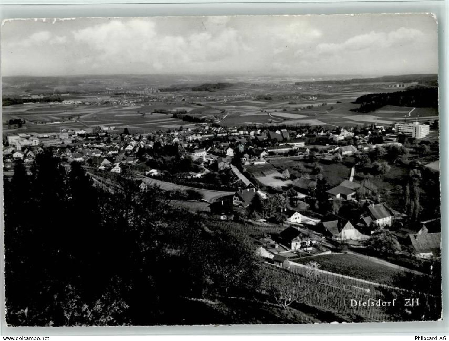 8157 Dielsdorf - 13095061