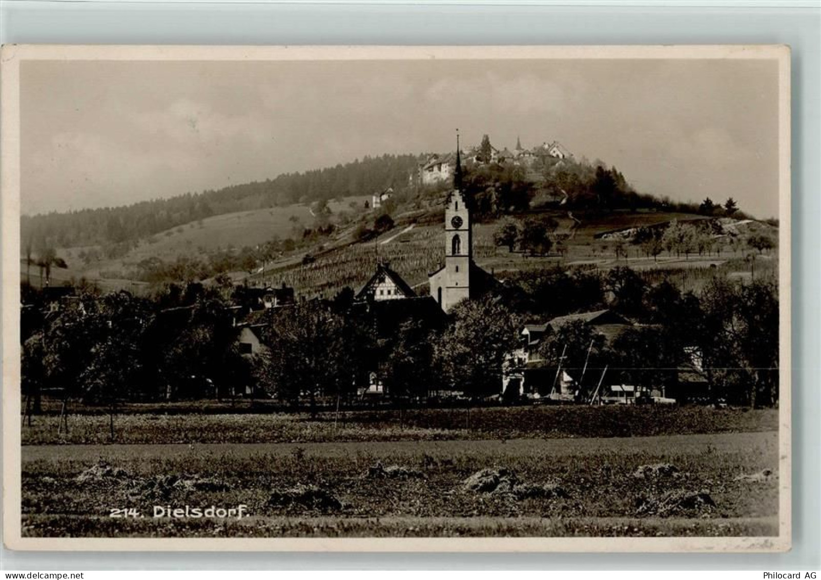 8157 Dielsdorf - 13218149