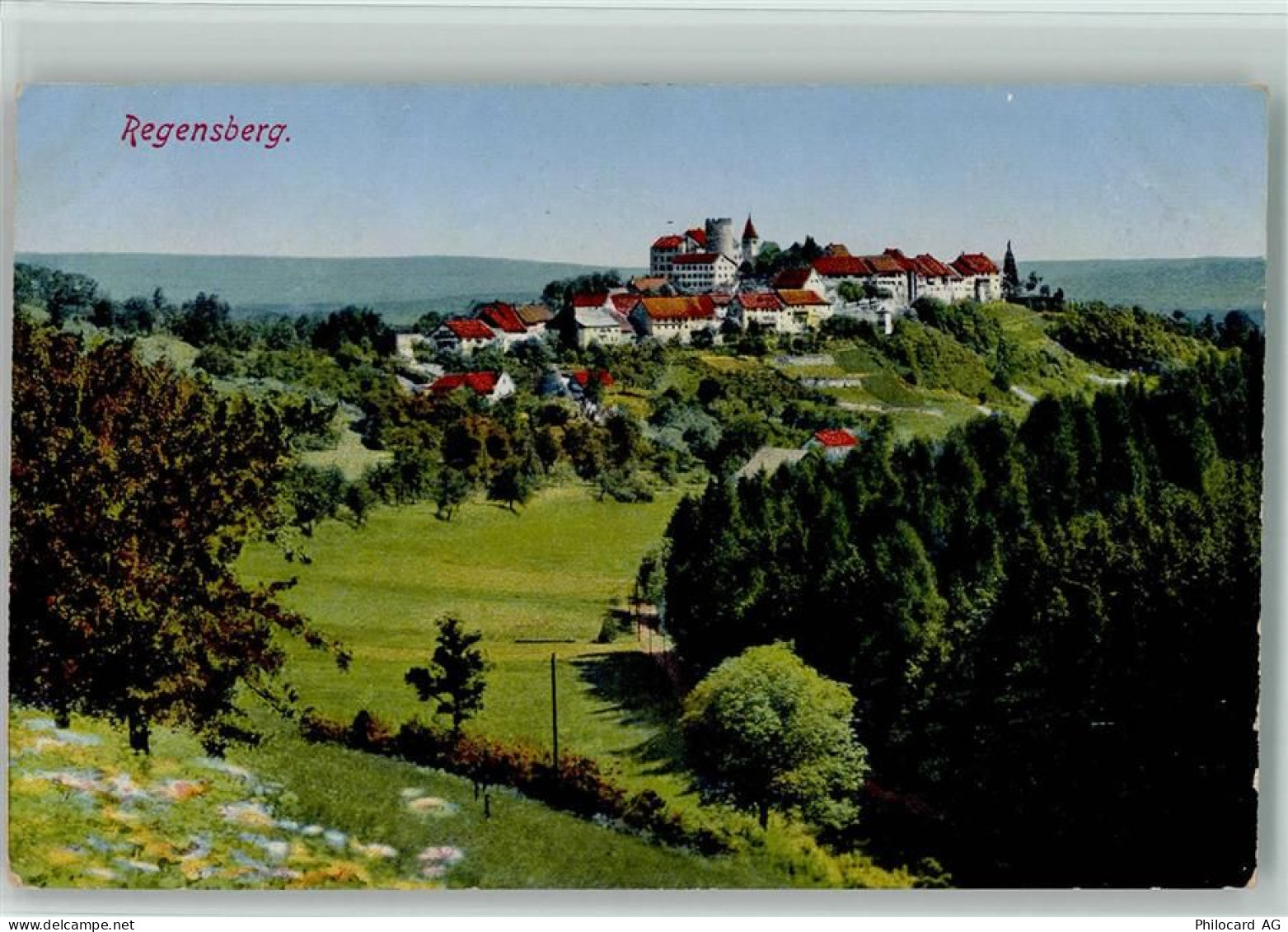 8158 Regensberg - 10198187