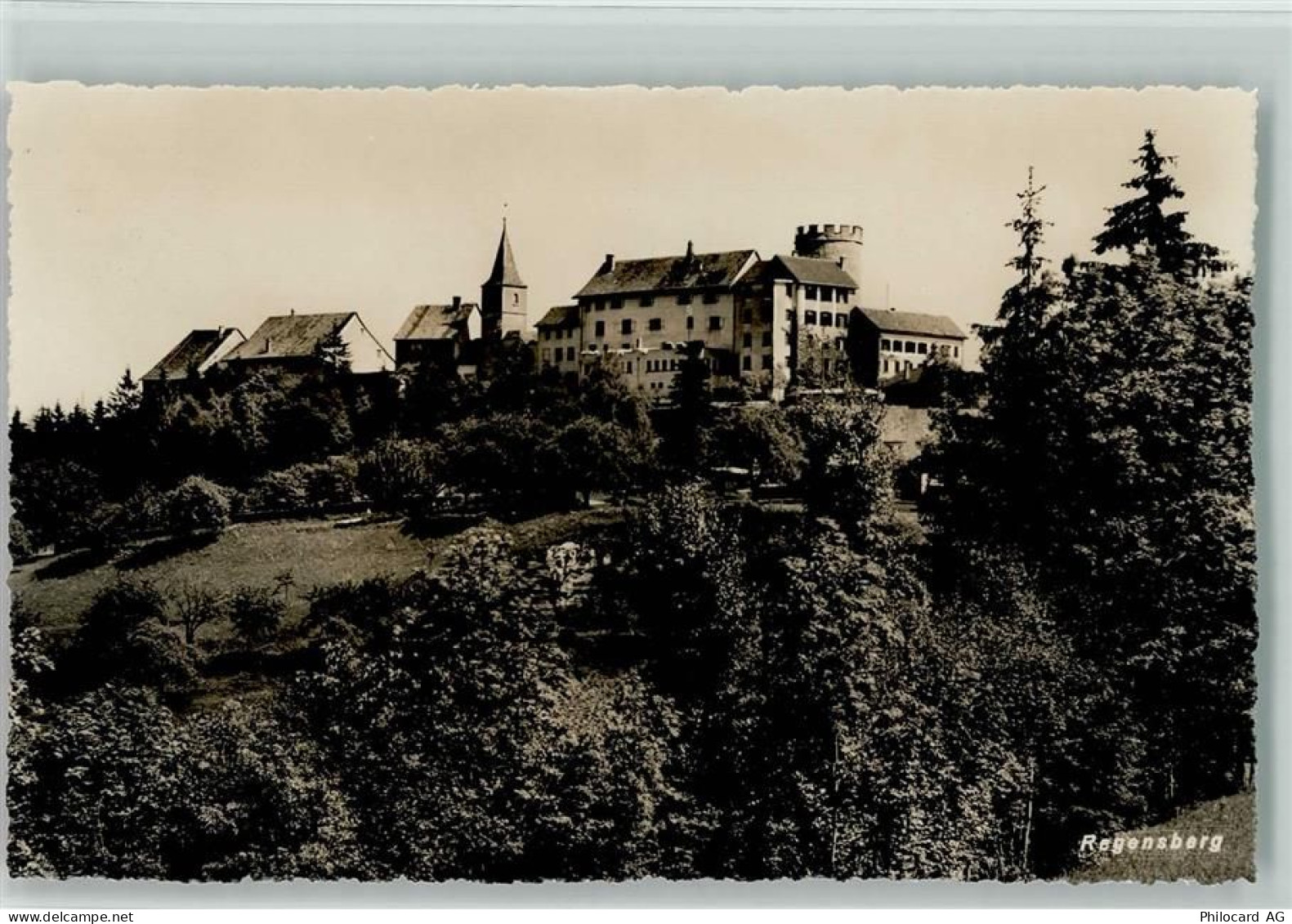 8158 Regensberg - 10198188