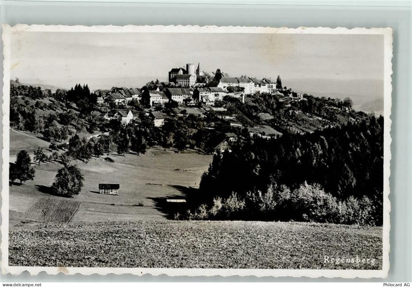 8158 Regensberg - 10198194