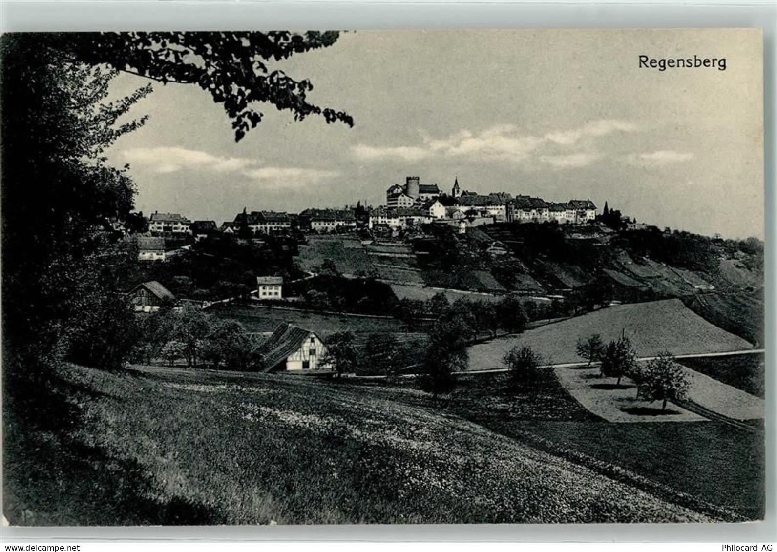 8158 Regensberg - 10623677