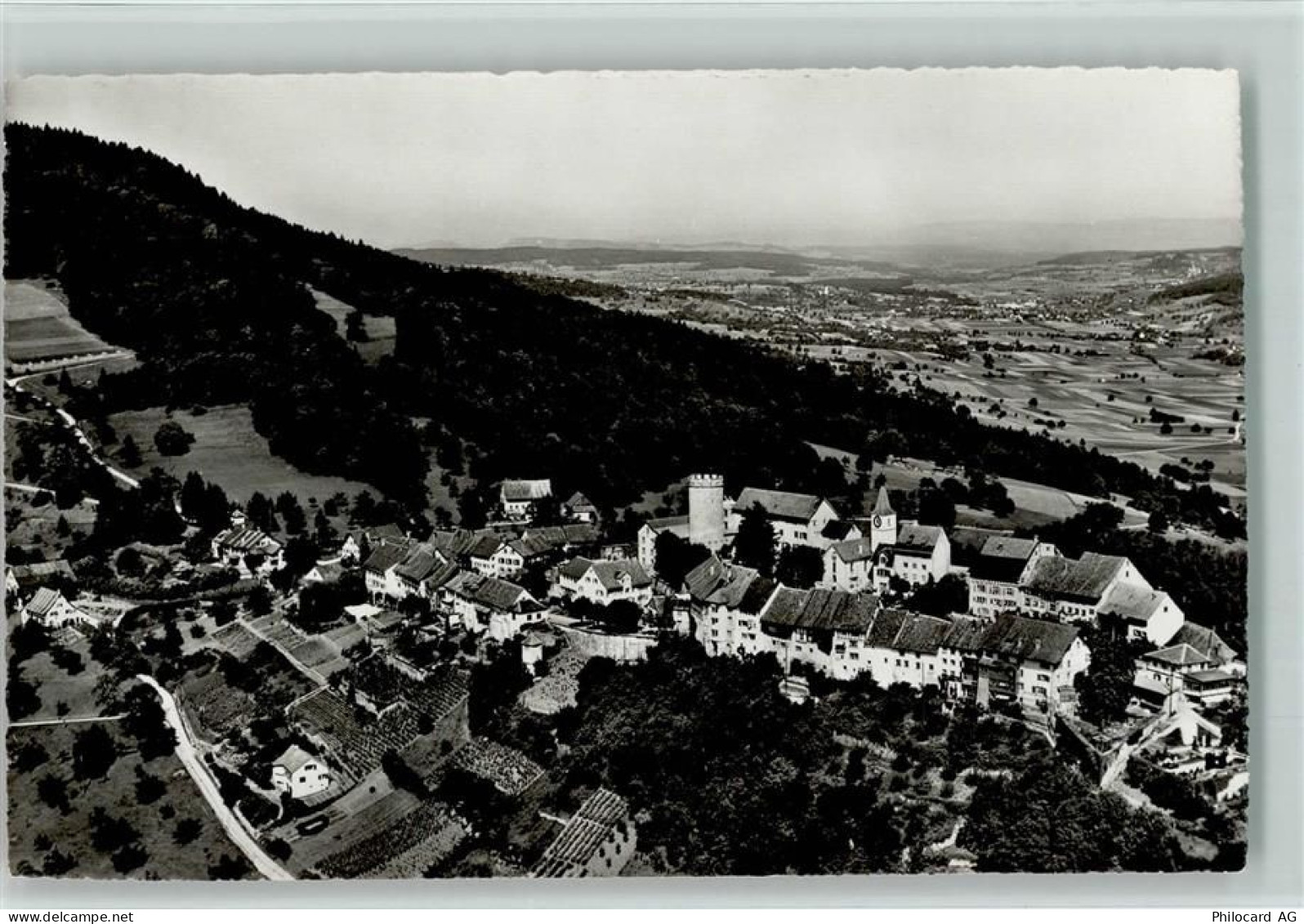 8158 Regensberg - 13113018