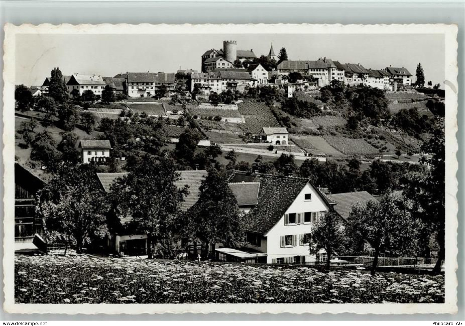 8158 Regensberg - 13113019