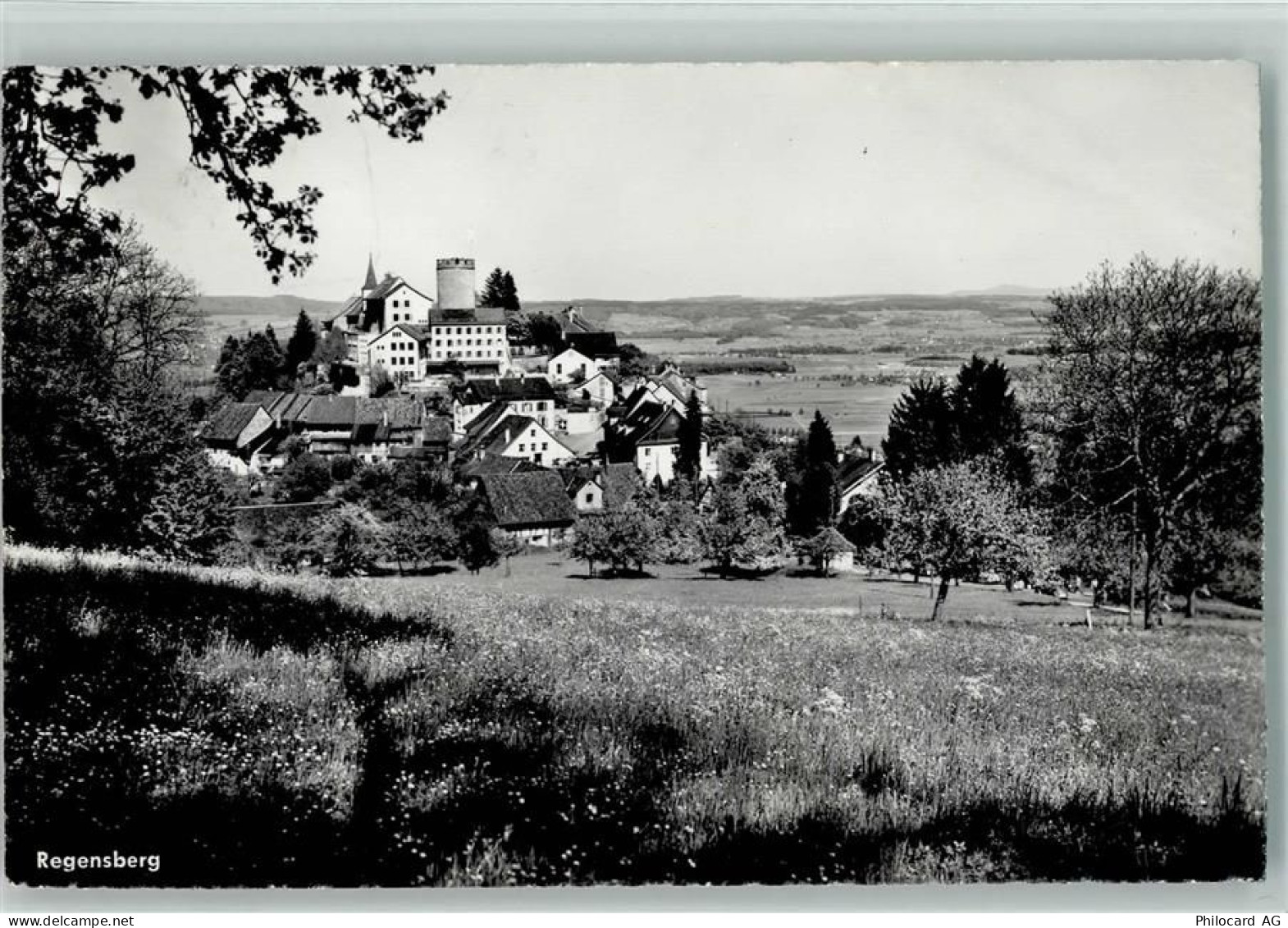 8158 Regensberg - 13113020