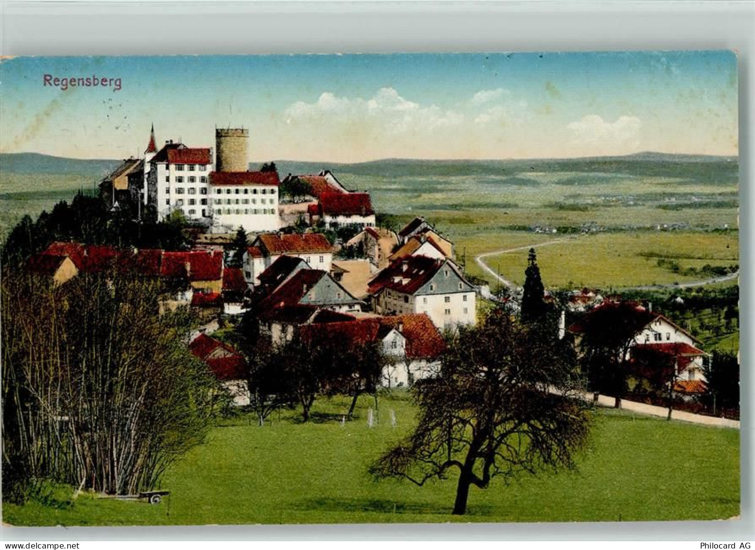 8158 Regensberg - 13113054