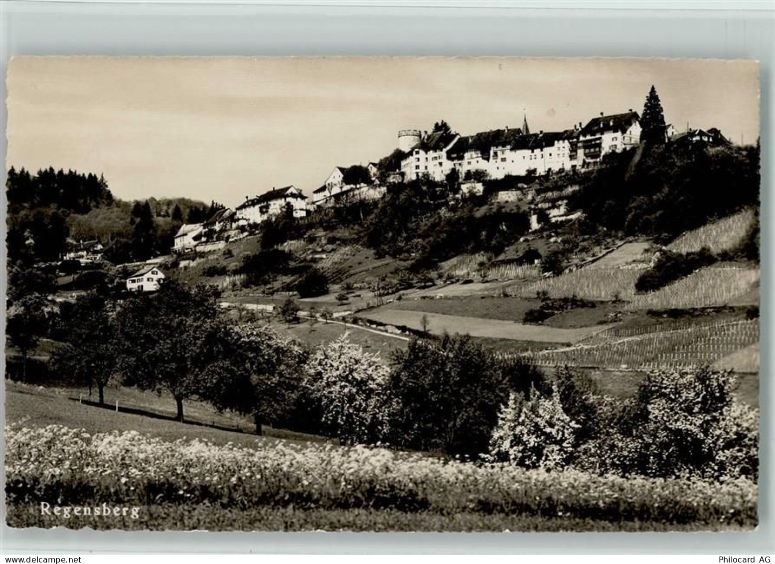 8158 Regensberg - 13113057