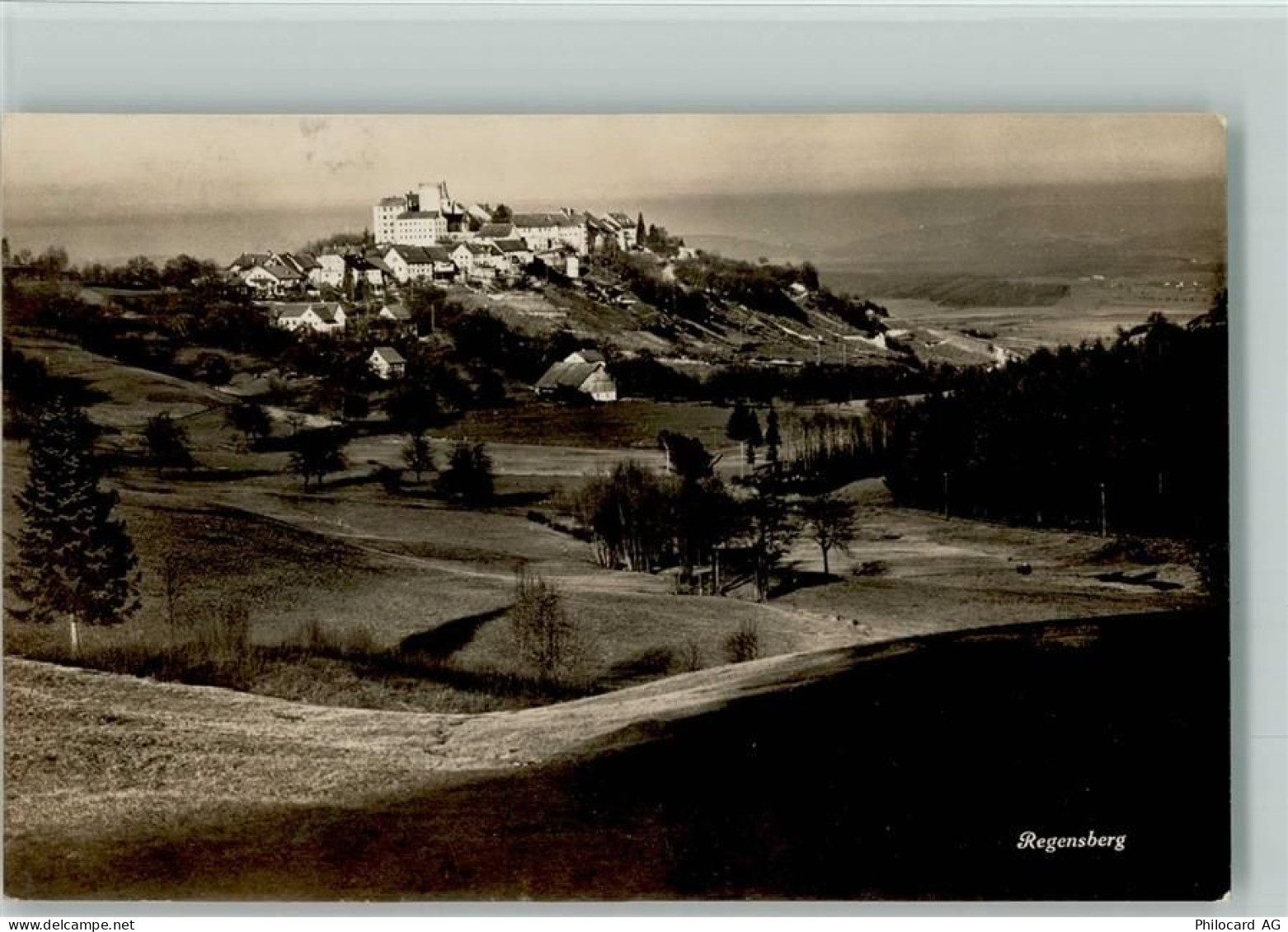 8158 Regensberg - 13113059