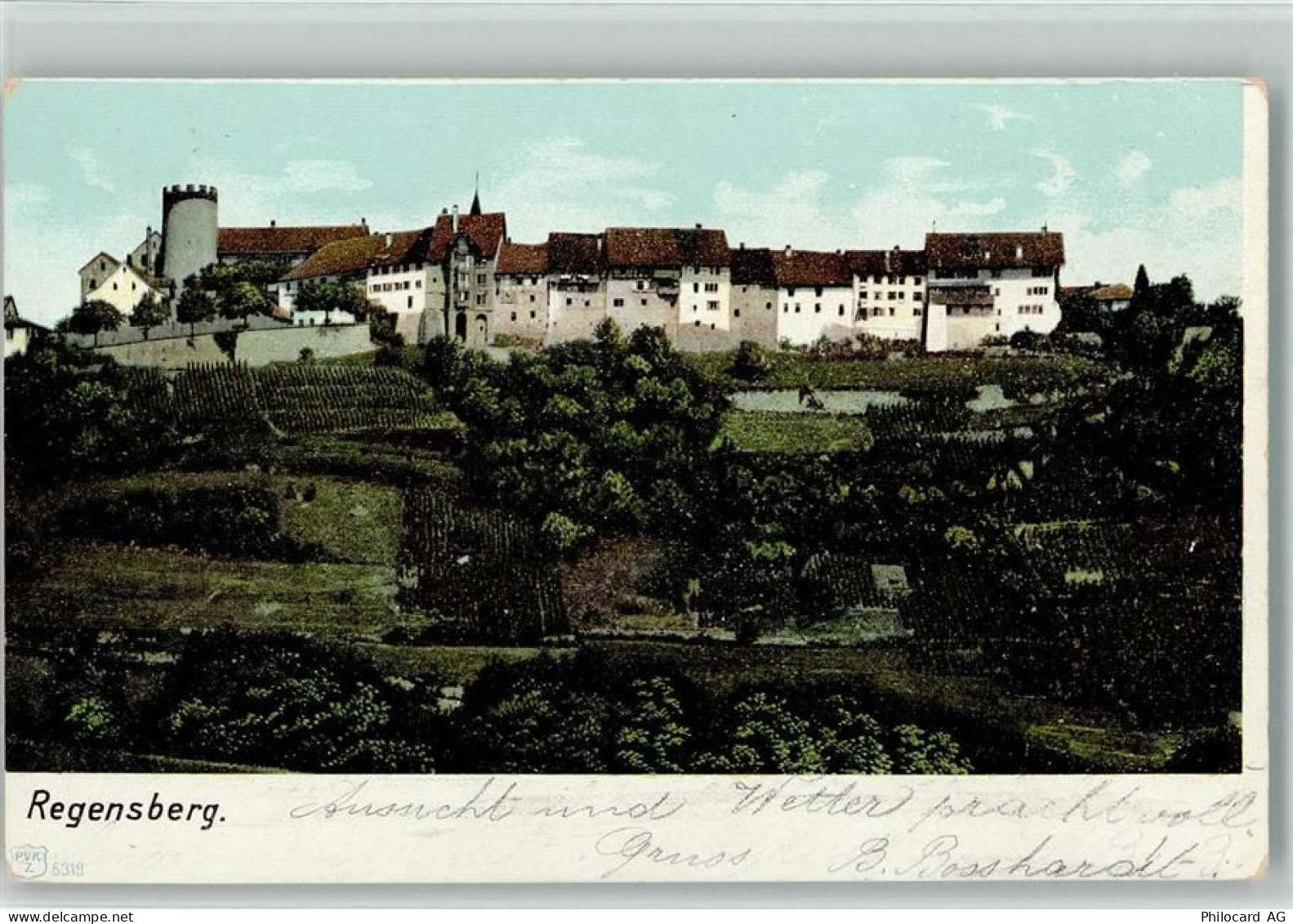 8158 Regensberg - 1904 - 13113050